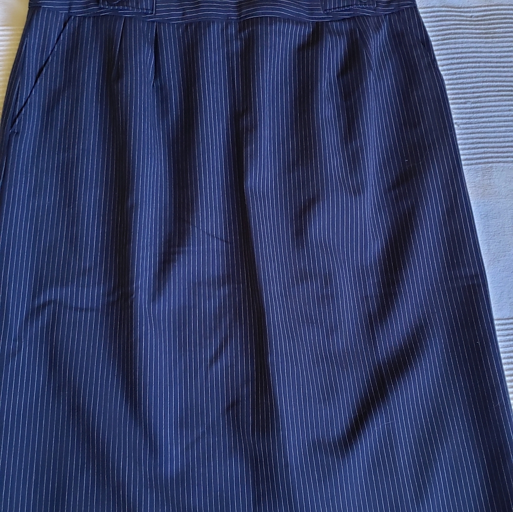 Chadwicks navy bluepinstripe pencil skirt. 12 tall